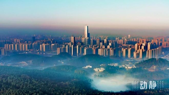 据之外咖啡之城AG真人平台数(图5)