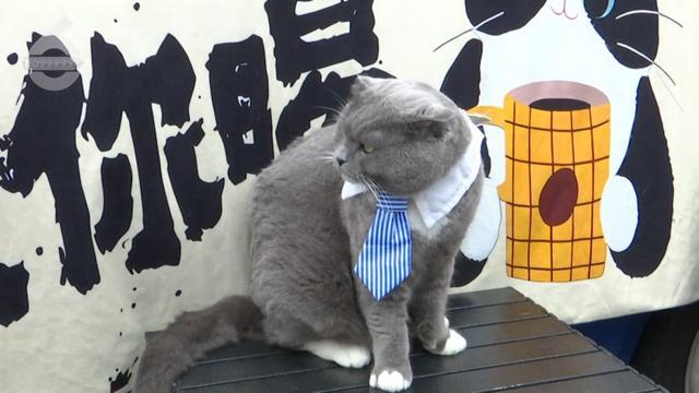 这里！昆明的这杯“咖啡”真不错AG真人网页65万+游客都来了